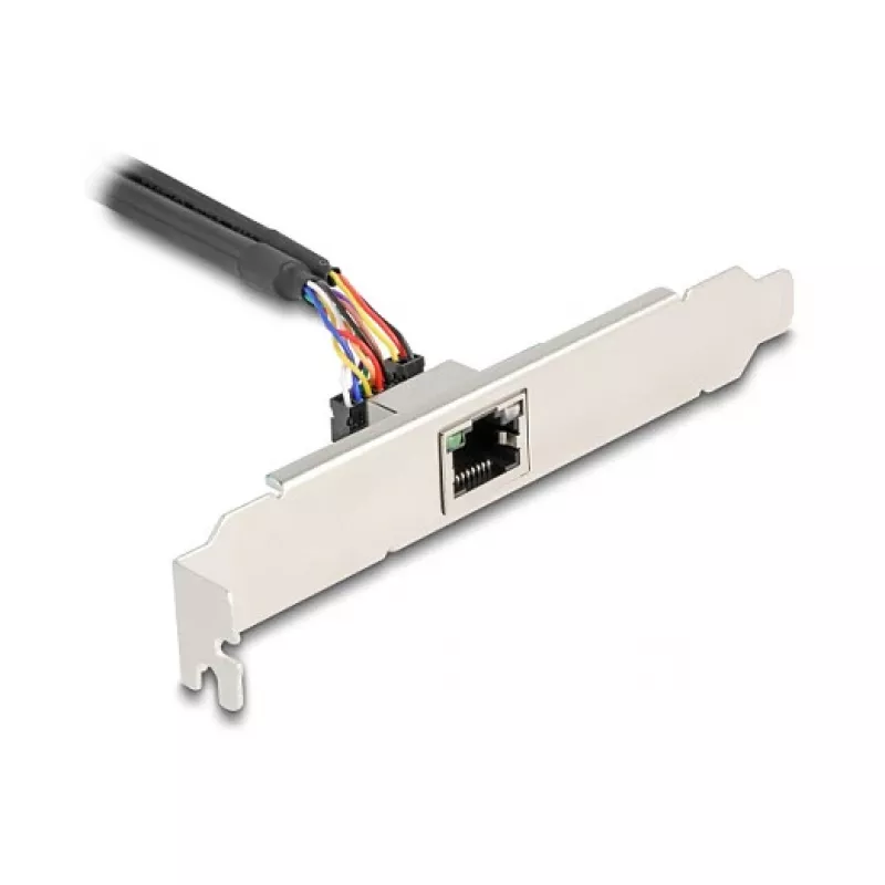 DeLOCK 95268 Vidinė RJ-45 adapterio plokštė Mini PCI Express 2.5 Gbit/s