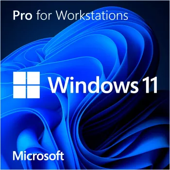 Windows 11 Pro for Workstations, operacinė sistema 64 bitų, vokiška, DVD-ROM