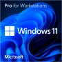 Windows 11 Pro for Workstations, operacinė sistema 64 bitų, vokiška, DVD-ROM