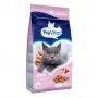 Sausas kačių ėdalas PREVITAL Senior Salmon 1,4 kg