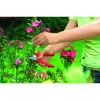 Elektrinė vejapjovė WOLF-Garten RR 1500 BASIC PLUS