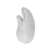SBOX VM-838V vertikali belaidė pelė balta