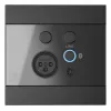 AUDAC WP225/B sieninis skydelis, XLR mikrofonas + 3,5 mm lizdas, Bluetooth, juodas