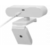 Lenovo GXC1D66063 internetinė kamera 2.8 MP 1920 x 1080 pikselių USB-C Pilka
