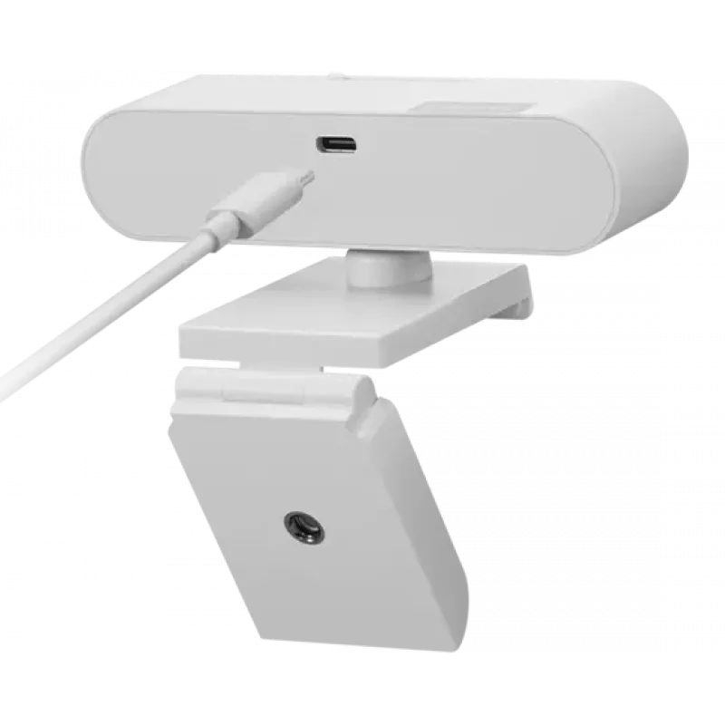 Lenovo GXC1D66063 internetinė kamera 2.8 MP 1920 x 1080 pikselių USB-C Pilka