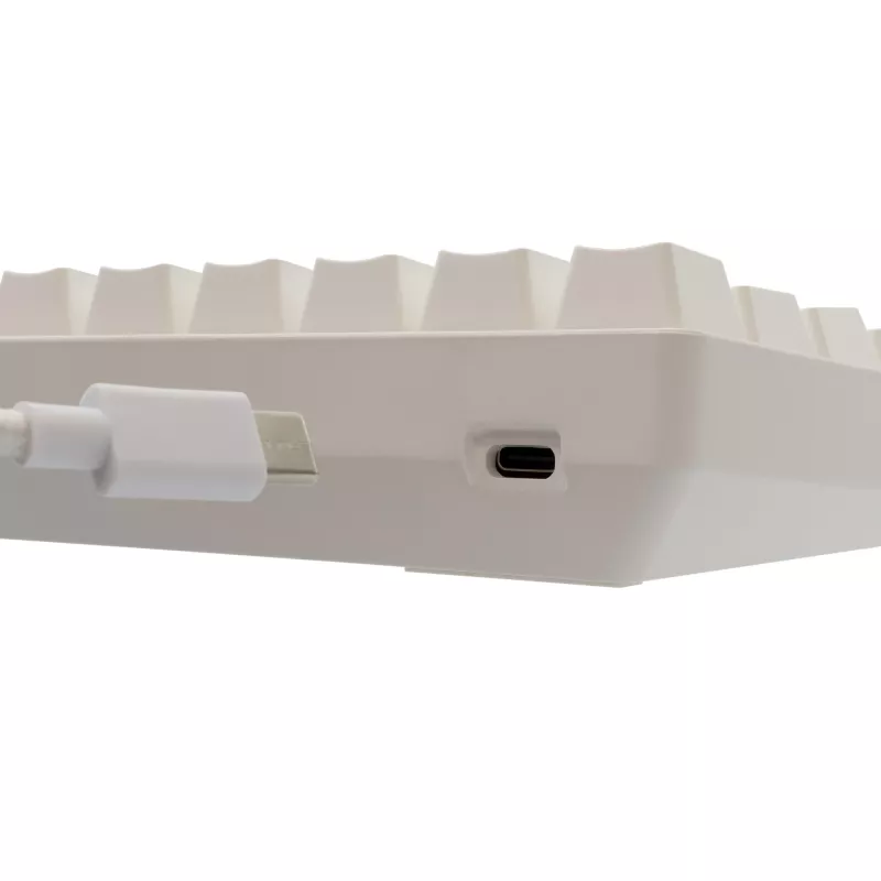 Mechaninė klaviatūra White Shark Shinobi-2 Brown Switch US išdėstymas – kompaktiškas dizainas, rudi jungikliai