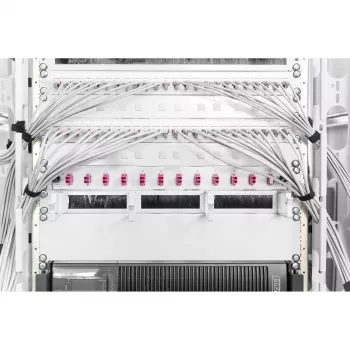 Užpildymo panelė Digitus DN-19 BPN-02