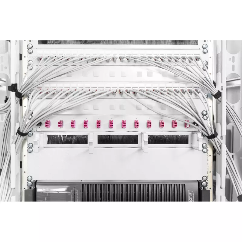 Užpildymo panelė Digitus DN-19 BPN-02