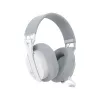 Ausinės White Shark WGH-2444 Firecrest White