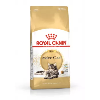Sausas kačių ėdalas Royal Canin Maine Coon Adult 4 kg – vištiena, 31% baltymų, 20% riebalų