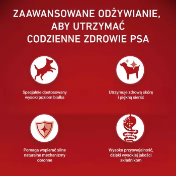 PURINA ONE MINI Šunų Suaugusiems Jautiena ir Ryžiai 1,5 kg