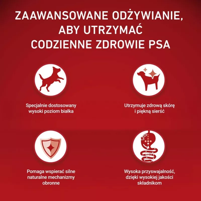 PURINA ONE MINI Šunų Suaugusiems Jautiena ir Ryžiai 1,5 kg