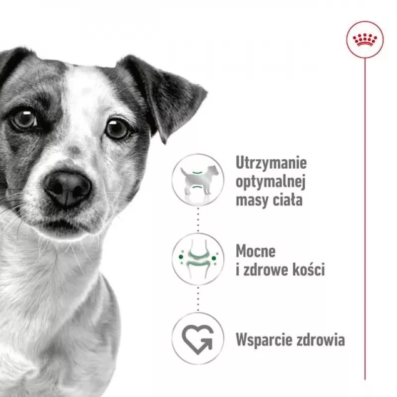 ROYAL CANIN Adult Mini S – sausas šunų maistas – 4 kg
