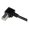 StarTech.com 2 m USB 2.0 A į dešinį kampą B laidas - M/M