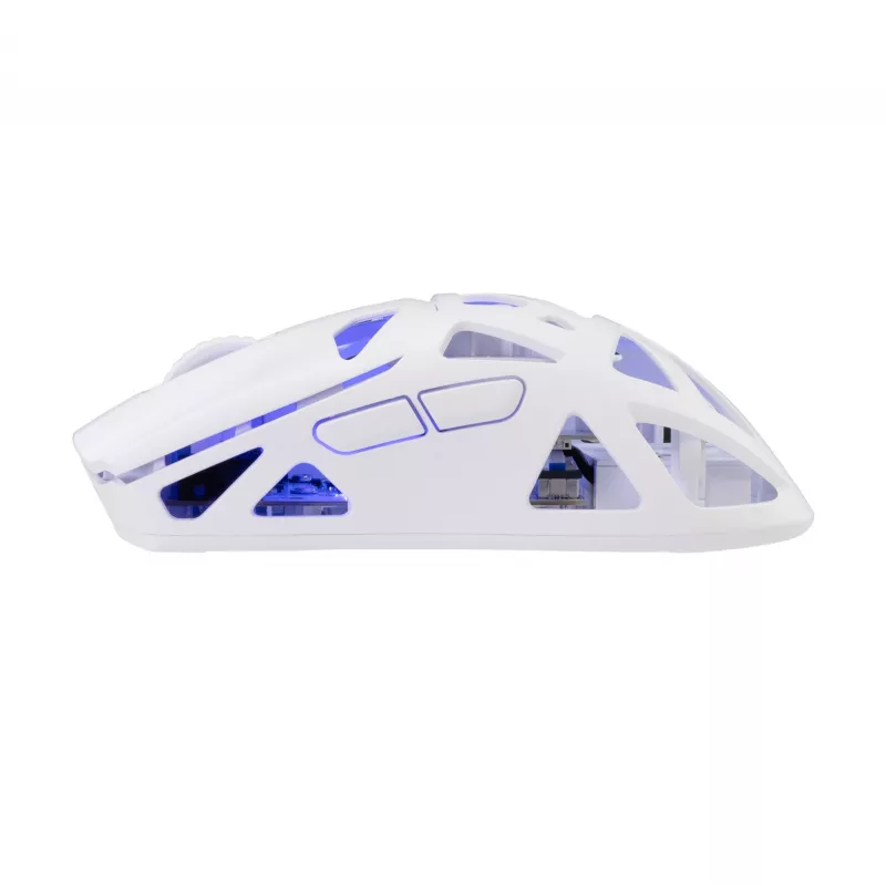 Belaidė pelė White Shark GM-5019 Dagonet Wireless