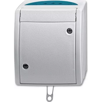 BUSCH JAEGER 2CKA001383A0141 – Grandininės traukos jungiklis – sidabrinis – IP44 – 250 V – 74 mm