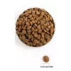 ACANA Adult Large Breed - sausas šunų ėdalas - 11,4 kg