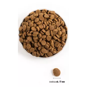 ACANA Adult Large Breed - sausas šunų ėdalas - 11,4 kg