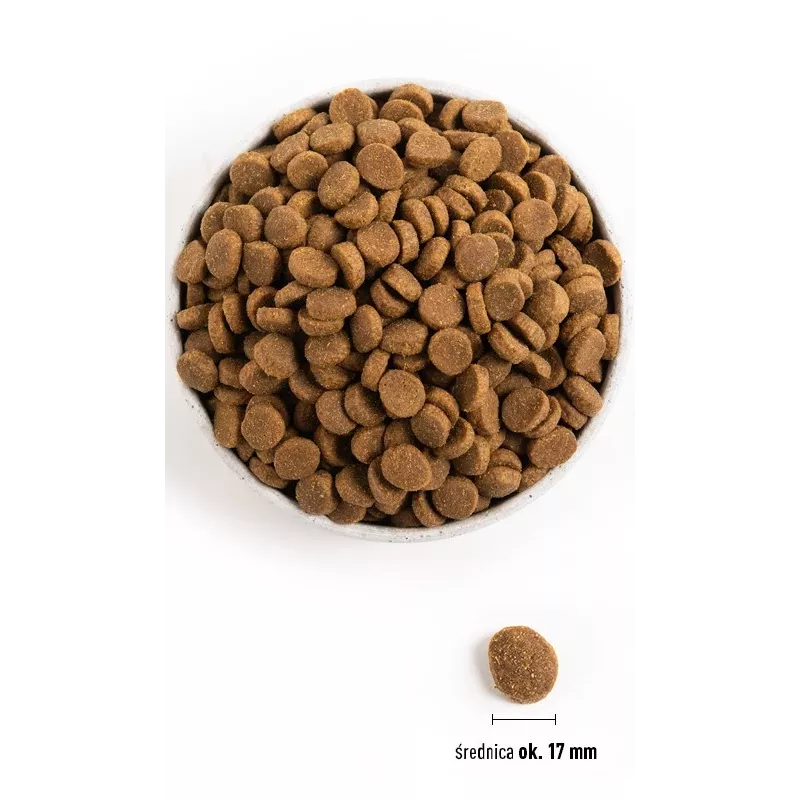ACANA Adult Large Breed - sausas šunų ėdalas - 11,4 kg