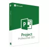 Microsoft Project Professional 2021 licencija verslui