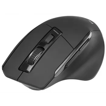 Pelė Tracer Cozy dešinei rankai RF belaidė optinė 1600 DPI