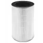 Homedics AP-T30FLR HEPA filtras