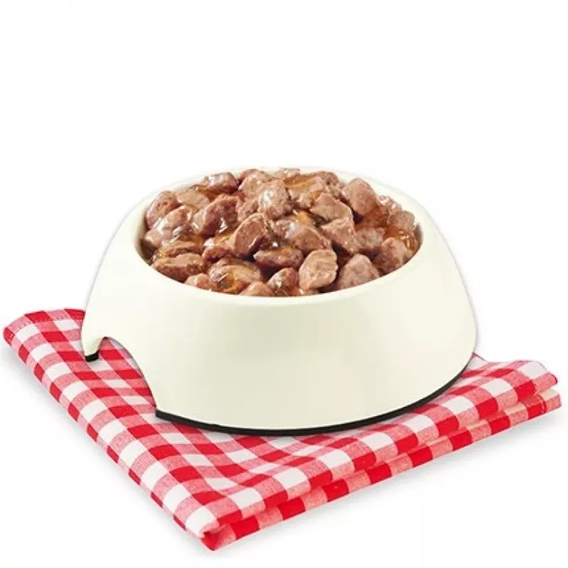 STUZZY Jūros žuvis drebučiuose – šlapi šunų ėdalas – 100g