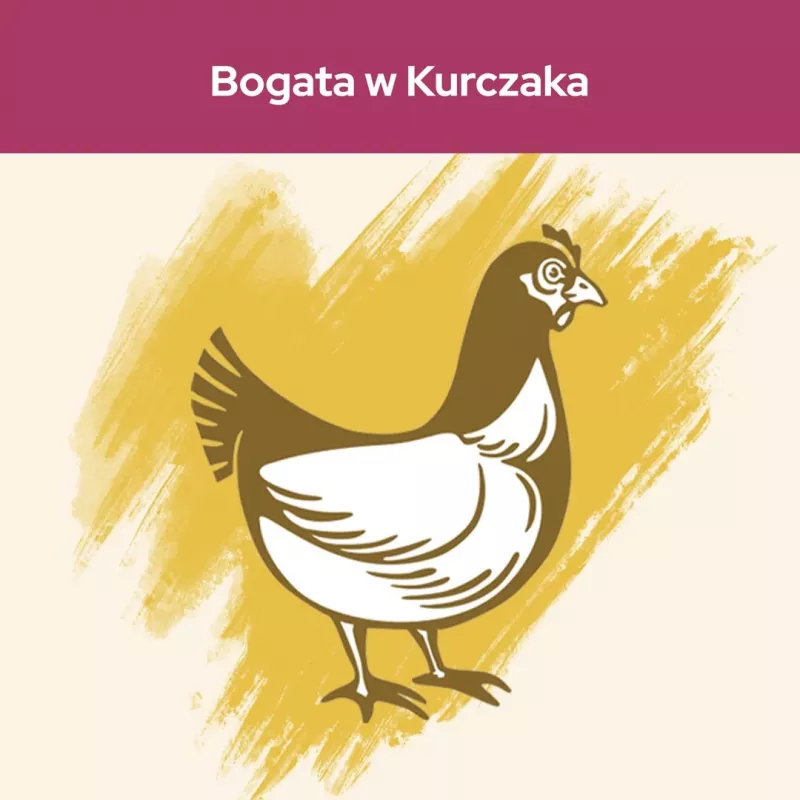 Purina Cat Chow Special Care Urinary Tract Health kačių sausas ėdalas 15 kg Suaugusios Vištiena
