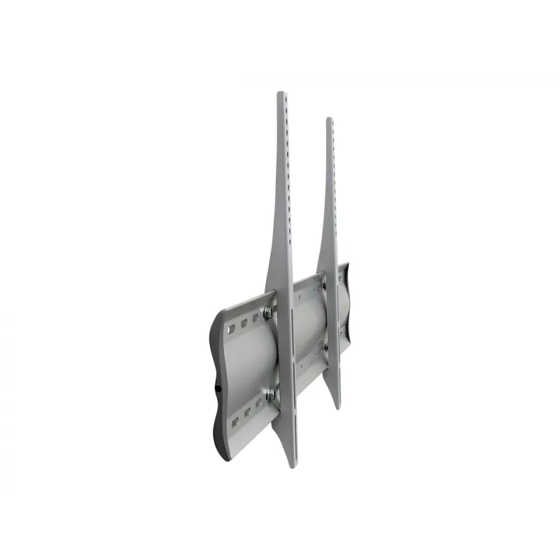 Ergotron 60-604-003 sidabrinis monitoriaus laikiklis
