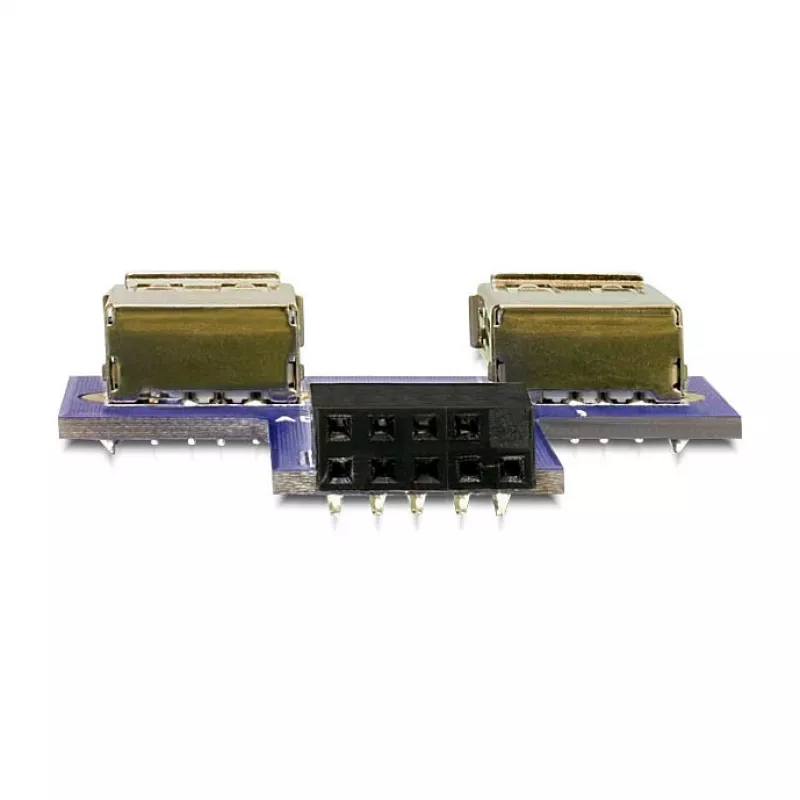 DeLOCK 9-pin 2.54 mm 2 x USB 2.0 1 x 9-pin 2.54 mm juoda mėlyna sidabrinė