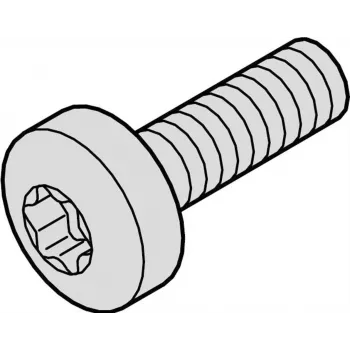 SCHROFF SCREW TORX COL.M2.5X12.3 100X - Rack-Accessory (21101783)