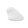 NATEC Crake 2 pelė universali Dešiniajai rankai RF belaidė + Bluetooth optinė 2400 DPI