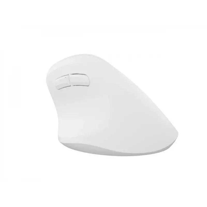 NATEC Crake 2 pelė universali Dešiniajai rankai RF belaidė + Bluetooth optinė 2400 DPI