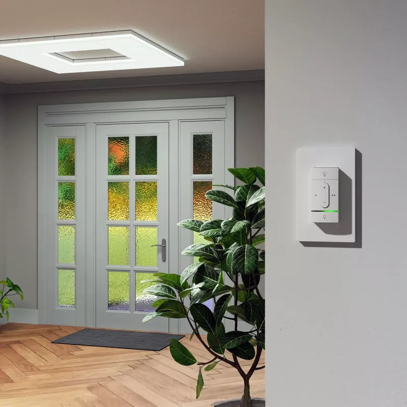 Belaidis išmanusis jungiklis Nanoleaf N4400C02-1BUT