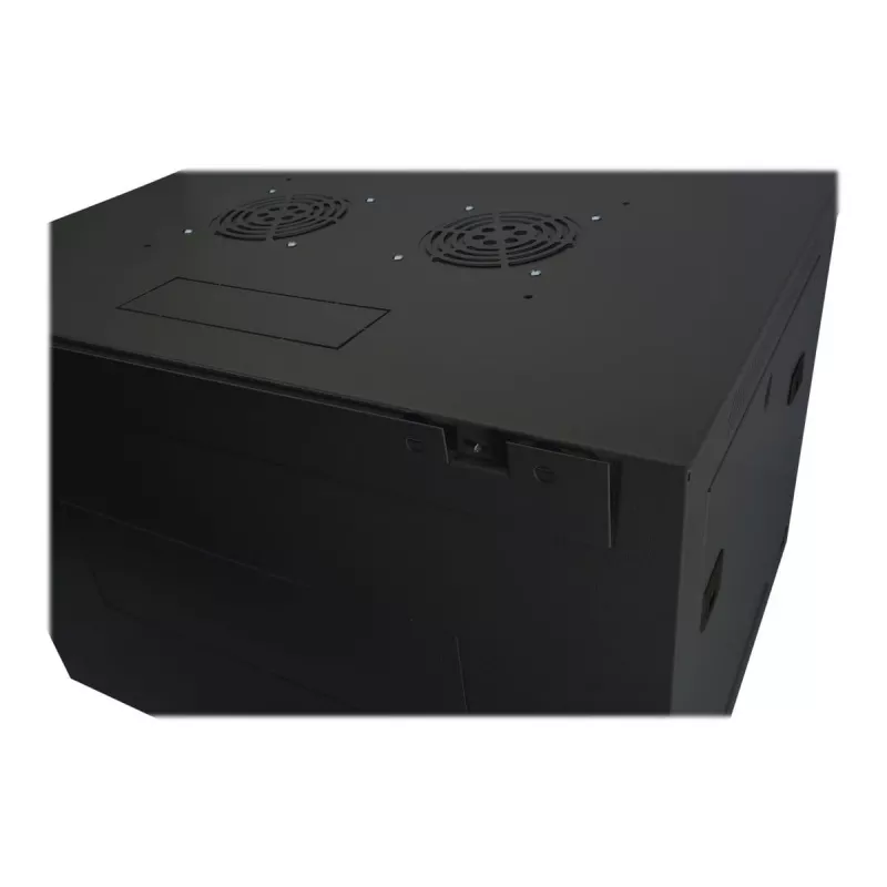 DIGITUS Dynamic Basic DN-19 16-U-EC-SW - tinklo spinta, skirta montavimui ant sienos, RAL 9005, 16U, 48,3 cm (19 inch)