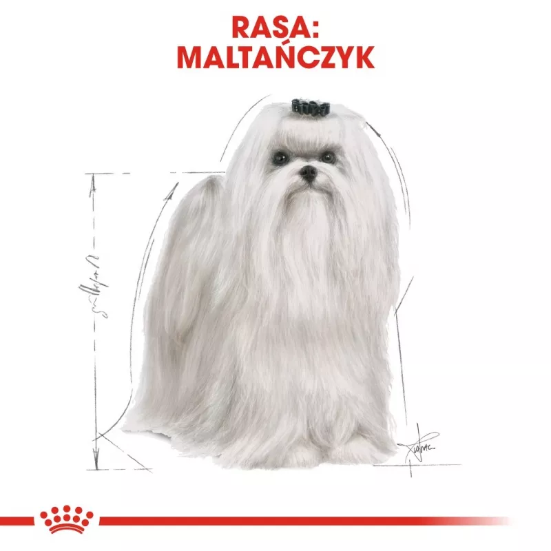 Royal Canin Maltese Adult sausas šunų maistas, 1,5 kg