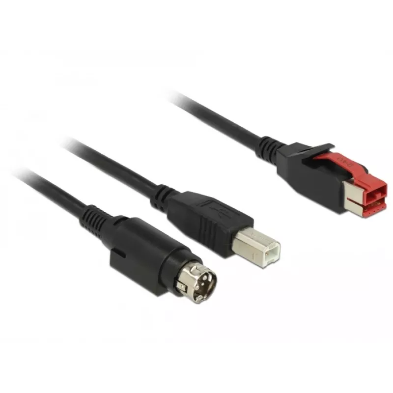 USB laidas DeLOCK 85489 USB 2.0 3 m USB B juodas