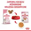 Royal Canin Kitten Jelly 85 g šlapias ėdalas kačiukams su vištiena, 12 vnt.