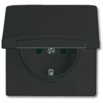 Busch-jaeger 2CKA002064A0290 juodas