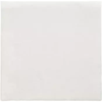 PAPSTAR servetėlės Daily Collection White 2 sluoksnių 16,0 x 16,0 cm 150 vnt. (89636)