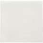 PAPSTAR servetėlės Daily Collection White 2 sluoksnių 16,0 x 16,0 cm 150 vnt. (89636)