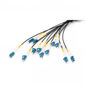 Digitus Pre-assembled Fiberglass Universal Breakout Cable 12 Pluoštų LC/UPC 50m