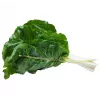 Lucullus Leaf Beet Toraf daržovių sėklos, 5g pakuotė