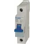 Apsauginis jungiklis Doepke DLS6IC16-110KA