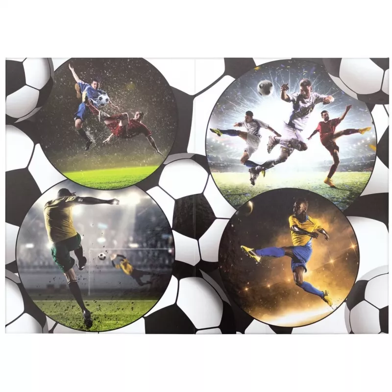 HERMA Football 19739 Šiukšliadėžė