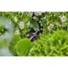 Žarnos laikiklis Gardena 13218-20 juodas, montavimui ant žemės