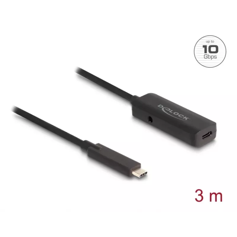 USB laidas DeLOCK 80027 3 m USB C juodas