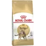 Sausas kačių ėdalas Royal Canin Bengal Adult 10 kg – vištiena, 40% baltymų, 18% riebalų