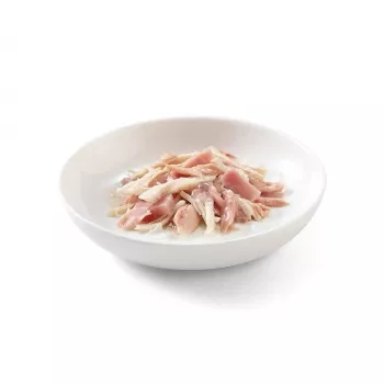 SCHESIR želė tunas ir vištiena su kumpiu - šlapias kačių maistas - 85 g