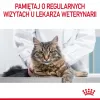 ROYAL CANIN Hair&Skin Care Adult - sausi kačių ėdalai - 400g